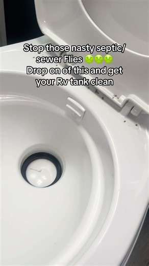 Effective Solutions to Eliminate RV Septic Tank Flies
