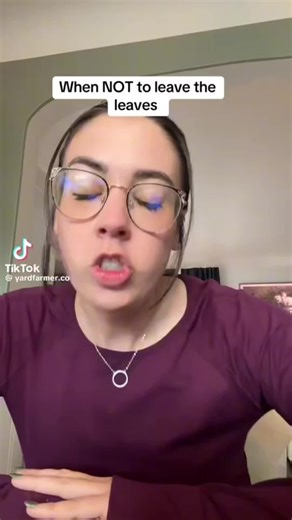 Leave the Leaves: Embracing Sustainable Gardening Practices