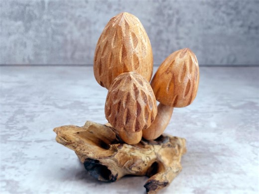 Morel Mushroom Sculpture: Parasite Wood Fungi, Home Decor Wooden Art - Etsy