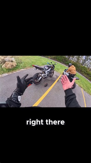 Oil Leaks and Fork Seal Issues The Hidden Problems of My Triumph! | ThoughTaken