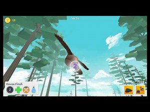 Roblox: Bird Simulator