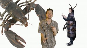 Baby, You're an Arthropod!, Singing Zoologist's Love Song To Our Exoskeletal, Segmented, and Jointed Apendage Friends