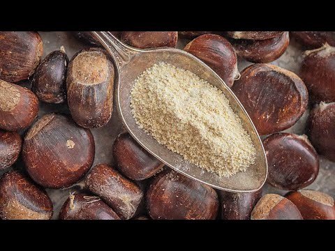 Chestnut Flour Recipes