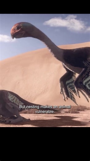 Warning: May cause extreme awe! 🤩 Our favorite dinosaurs are here to impress. 👑 | Love Dinosaurs