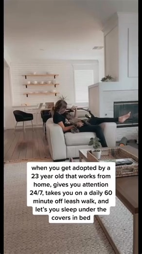 62K views · 789 reactions | Best Hunting Dog in the world! ❤️ | German Shorthaired Pointer | Facebook