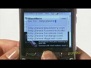 How to Surf the Web with Your BlackBerry For Dummies