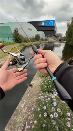 #Fish hunting #animals #fishing#hunting#shorts #viralshort