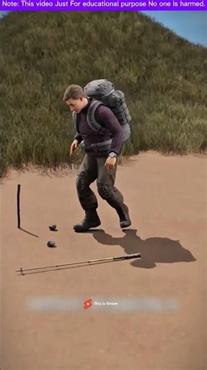 🌲 Lost in the Forest? This Genius Shadow Trick Finds North! 🧭 #Shorts #AmazingFacts