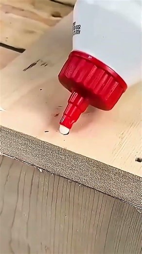 Hammer raised, nail set—wood bound with strength and precision