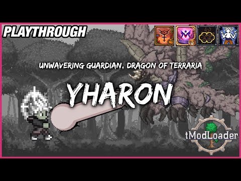 Dragon of Terraria | Dragon Ball Terraria + Calamity Infernum (15)