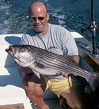 Connecticut's Top Striper Hotspots - Game & Fish