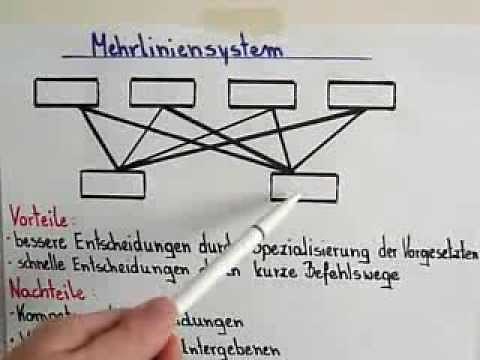 BWL-Grundlagen: Organisationsformen, Mehrliniensystem