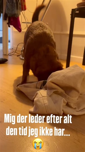 14 reactions | Kan man ønske sig 72 timer i døgnet til jul?  … og knæ-, hofte- og alle andre led som en 20 årig  | Hannah Grant | Facebook