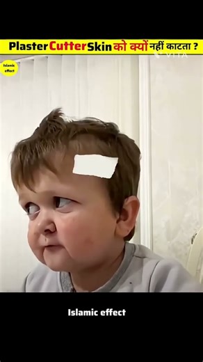 From Wall to Art: The Journey of a Plaster Cutter