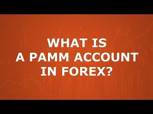 What is a PAMM trading in forex? FXOpen PAMM account.
