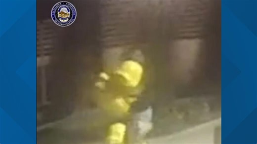 Alleged Valley 'rubber' duck thief arrested on felony charges