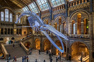 Fascinating And Mostly Free Museums In London To Visit