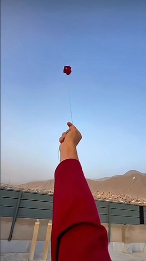 Beautiful Kites Flying 😍❤️‍🔥 #kite #kiteflying #kiteground #viralvideo #viralshorts #shorts