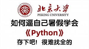 【全368集】目前B站最全最细自学Python全套教程，2025最新版，包含所有干货！一个月就能从小白到大神！少走99%的弯路！这还学不会我退出IT界！