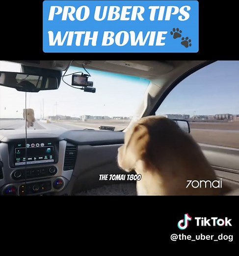 Essential Uber Tips for Drivers Using 70mai Dashcam