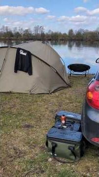 Tipps & Tricks zum Angeln auf Stör ➡️ So klappt's mit dem dicken Fisch!