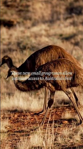AAT Kings’ new small group tours allow intimate access to Australia’s best experiences
