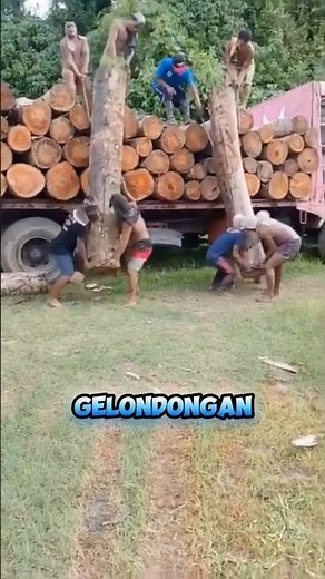 Skill of loading logs into a truck manually