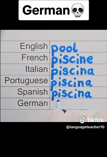 Learn German Language Basics