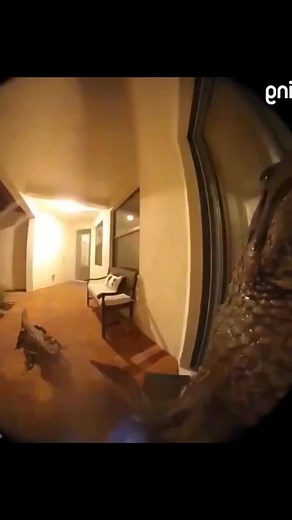 31K reactions · 4.9K shares | Y’all can have the whole house  | Mac Page | Facebook