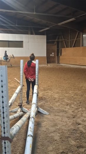 48 reactions · 5 comments | Zoé et Jazz commencent à trouver leurs marques ensemble  | écuries du péca | Facebook