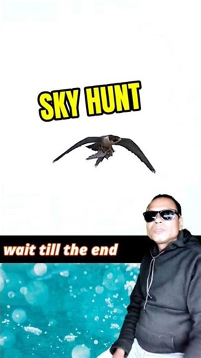 Mid-Air Kill: Hawks Playing With Their Prey 🦅😱 #birding #youtubeshorts