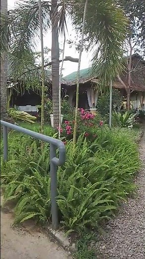 The Most Beautiful Garden Views in Nature