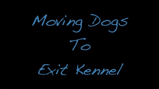 Moving Dogs to Exit Kennel