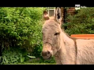 La Squadra Della Fattoria 1x18