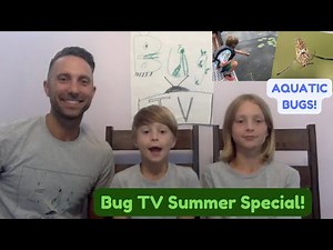 Bug TV SUMMER SPECIAL: Let's learn all about aquatic insects! | Insect Learning Video for Kids