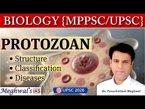 Protozoan in detail | Structure, Classification and Diseases | Animal Kingdom | UPSC CSE & MPPSC