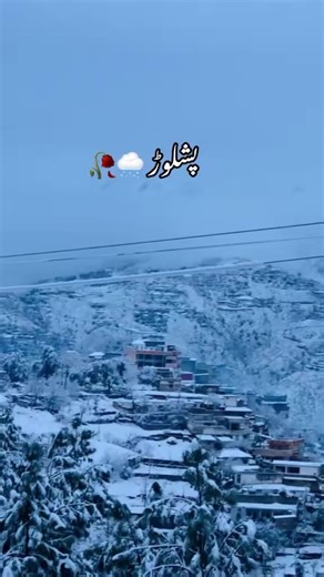 Da ware dak malkona#foryourpage #video #dfgyydyydfuugdyusjfgyiduudyugfo