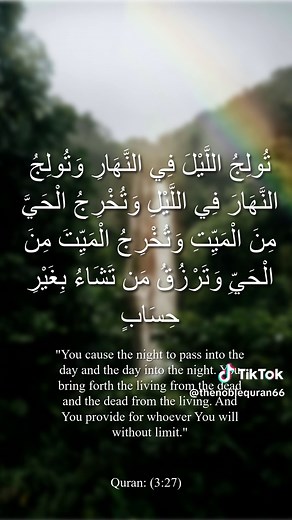 Surah Al Imran Powerful Recitation by Idris Abkar