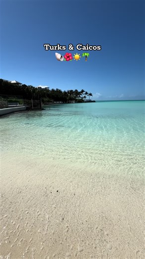 Explore the Stunning Beaches of Turks and Caicos