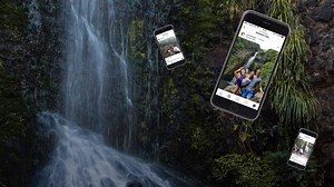 25K views · 162 reactions | Kauri dieback affects almost 20% of the trees in the Waitakere ranges and is spreading fast. Check out how you can prevent this infection from killing more of our native wonders. | Re: News | Facebook