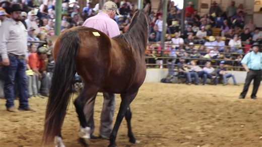 9.3K views · 95 reactions | Happening Now! Catalog of Friday's...