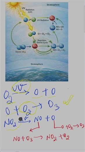 Formation and regulation of Ozone