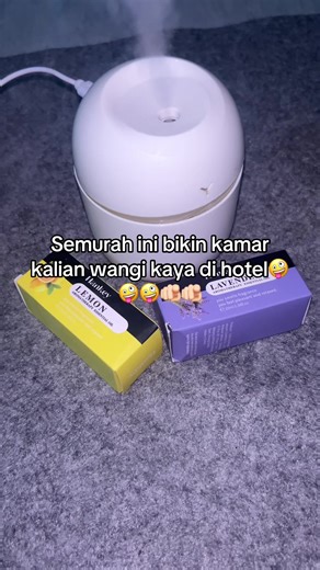 Mini Humidifier for a Fragrant Room