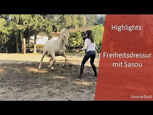 Faszination Pur - Kenzie und Sasou
