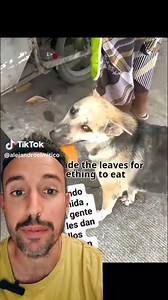 17 reactions | Si amas a tu mascota esterilizala, no permitas que sus cachorros caigan en manos de gente sin corazón que los abandona en la calle... ellos son seres vivos que igual se enferman, sienten hambre, frío y sed. LAS MASCOTAS NO SON JUGUETES SEÑORES.瑩‍了‍⬛‍⬛ #Bolivia #Potosi #animals #mascotas #animalistas #perrosperdidos | Yo Amo Potosí | Facebook