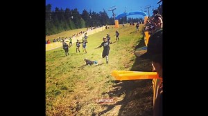 110K views · 238 reactions | Roll the cheese!! | Funny Videos | Facebook