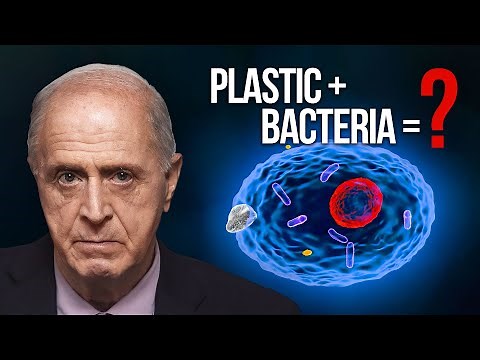 Understanding Antibiotic Resistance 2025