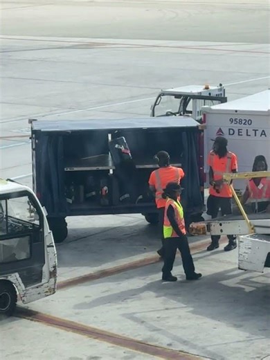 Delta Baggage Handler Throwing Bags || ViralHog