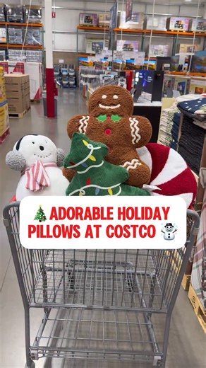 18K views · 157 reactions | Which one is the cutest? These holiday pillows at Costco are such a great price for only $10.99! #costco #costcofinds #christmas #holidaydecor #homedecor | costcoguide | Facebook
