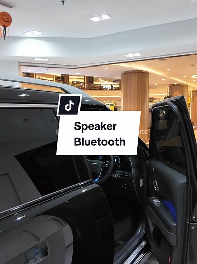 Hyundai Palisade Hybrid 2025: Bluetooth Speaker Experience